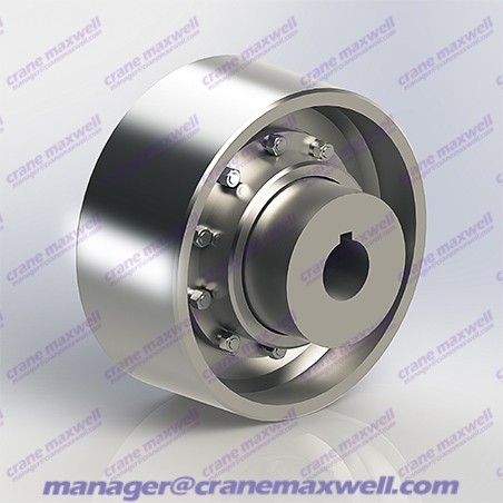 Accoppiamento ingranaggio ruota freno NGCLZ